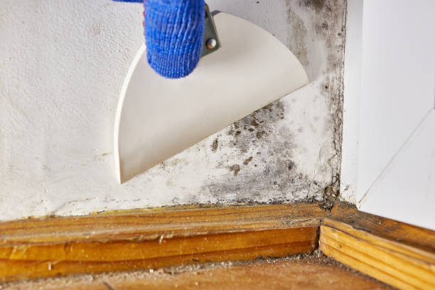 Best Post-Remediation Verification Testing  in Garrett, WA